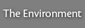 The Environment